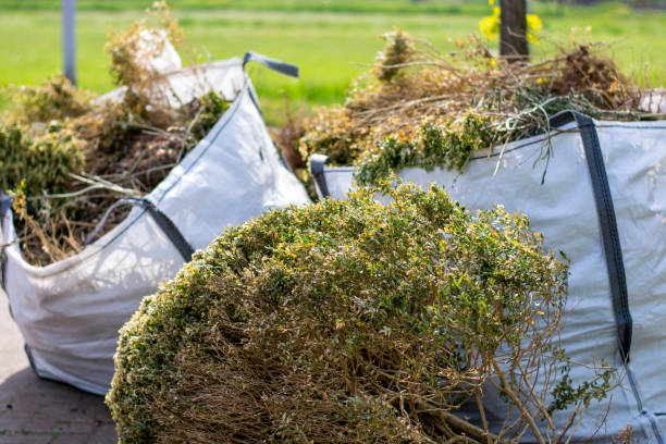 Best Shed Removal  in Wellsville, KS